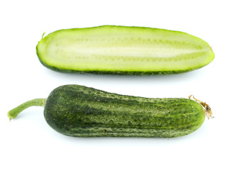 Cucumber