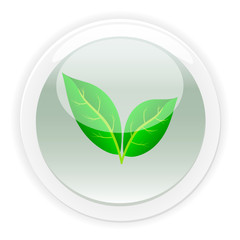Leaf icon.