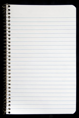 Torn page from spiral notebook