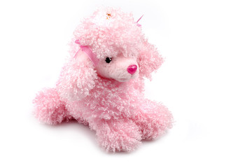 Toy - poodle