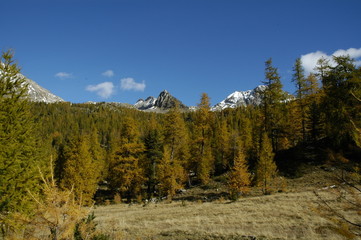 automne en montagne 4 - 9657546