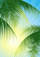 Sun rays through the tropical leaf, vector illustration