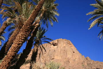 desert Marocain
