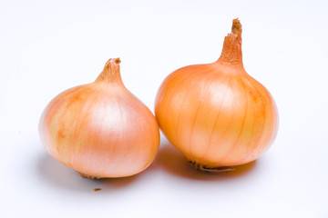 Onion