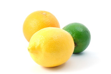 fresh lemon , orange , and citron fruits