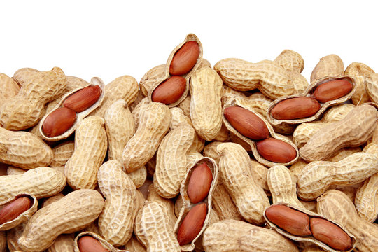 peanut
