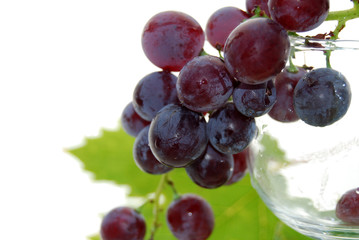 Grains de Raisins noirs