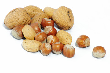 nüsse, walnuss, mandel, haselnuss