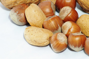 walnuss, mandel, haselnuss