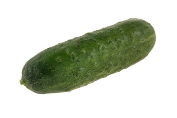 Cucumber