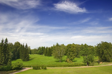 freedom under blue sky