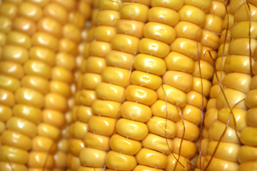 goldener Mais