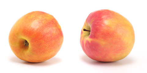 apples with shadow on a white background