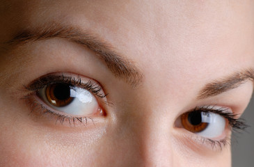 female eyes, close up
