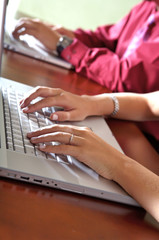 Business People Typing on the Computer