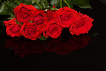 beautiful red roses on black, reflecting background