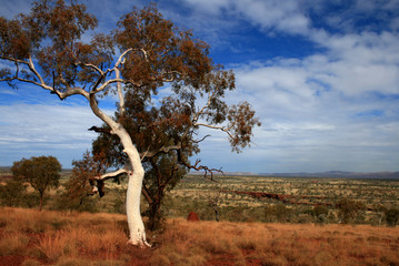 Pilbara region in Western Australia