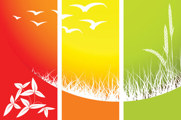 Abstract nature background with place for your text