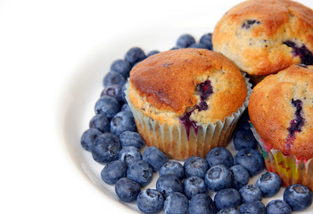 Blueberry Muffins surrounded by blueberries