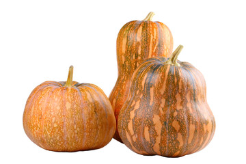 Pumpkin isolated on white
