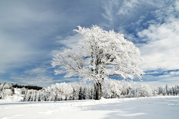 Winterlandschaft 5