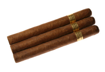 Havana cigars set isolated on white