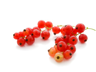 Red currant on white background