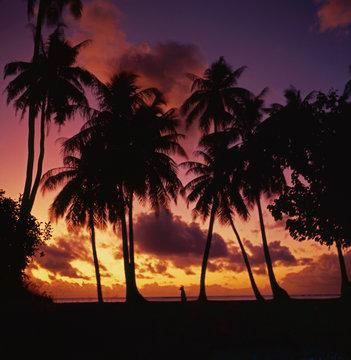 Tahiti