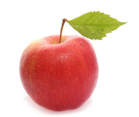 Red wet apple with leaf isolated on white