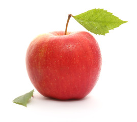 Red wet apple with leaf isolated on white