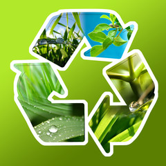recycler nature fond vert