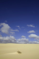Fototapeta premium Fuerteventura