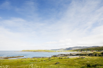 summer north norwegian landscape