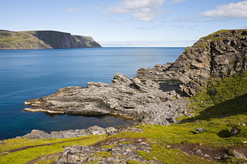 summer north norwegian landscape