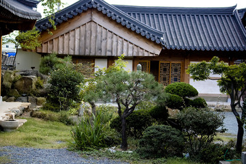 Fototapeta premium Jinhae im Herbst