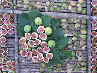 Sweet green figs of Apulia