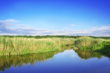 River. Russian nature, wilderness world.