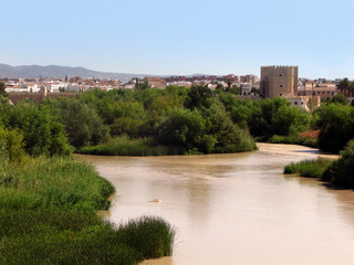 Obraz premium Guadalquivir river and Cordoba view