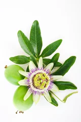Photo sur Plexiglas Fleurs passion flower with fruits and leaves isolated