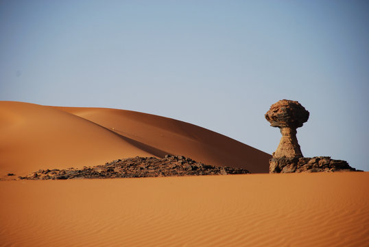 Dune