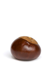 Obraz premium opened fruit of chestnut on a white background