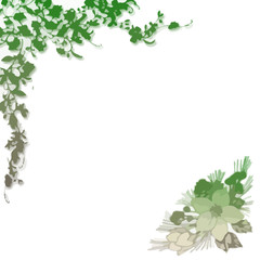 Fototapeta premium FLORAL VERT COINS