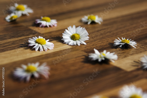 "holzblumen" Stockfotos und lizenzfreie Bilder auf Fotolia.com - Bild