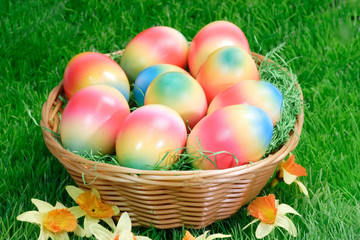 Dekoratives Osternest