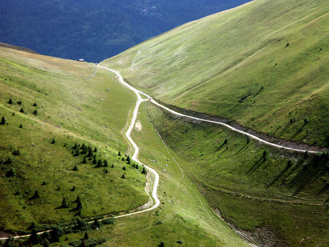 Paths Converge Immagini - Sfoglia 1,160 foto, vettoriali e video Stock |  Adobe Stock