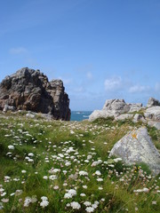 Paysage breton 1