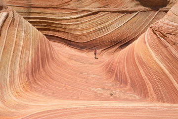 Die Wave im Paria Canyon