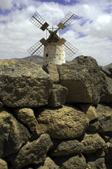 Fuerteventura