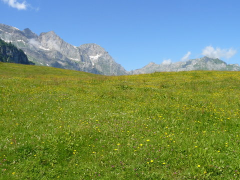 paisaje en calma