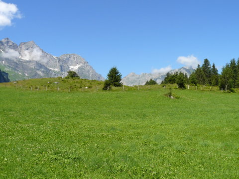 paisaje en calma